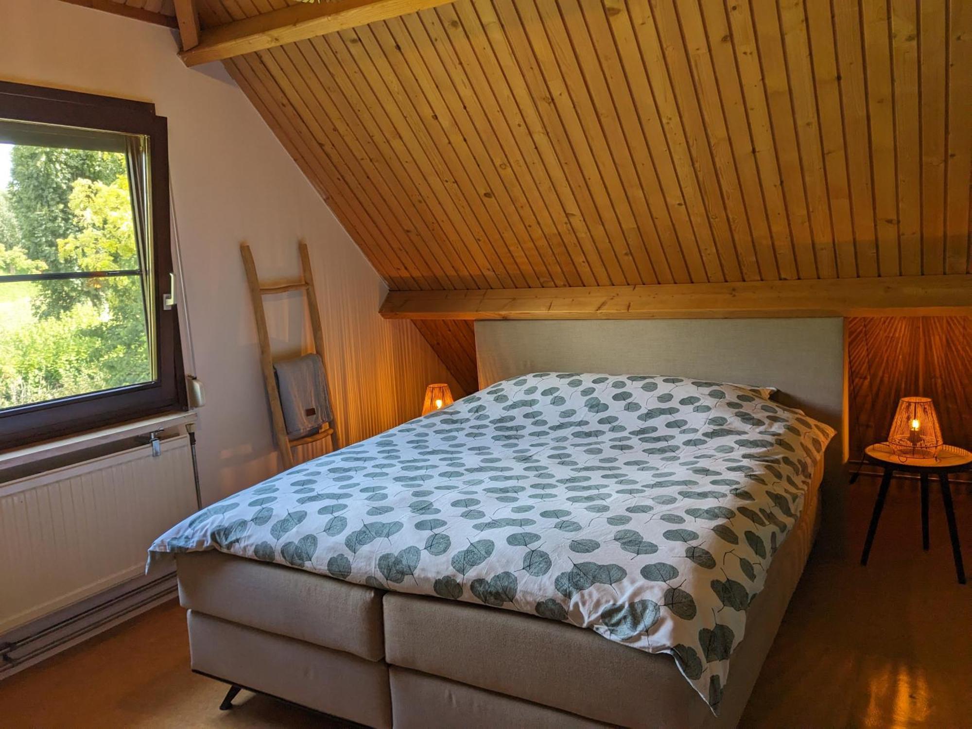Ruime Vrijstaande Vakantiewoning Aan Veerse Meer, 6 Persoons Wolphaartsdijk Екстер'єр фото